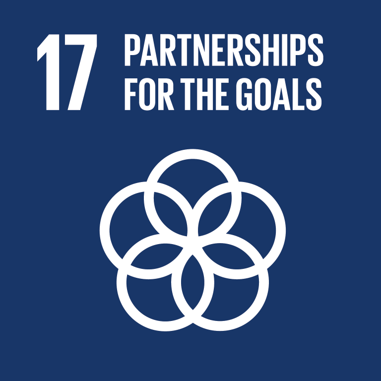 Our Work - SDGs